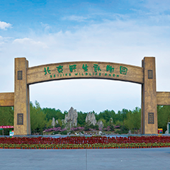 麻将胡了2·(中国区)官方网站-游戏入口